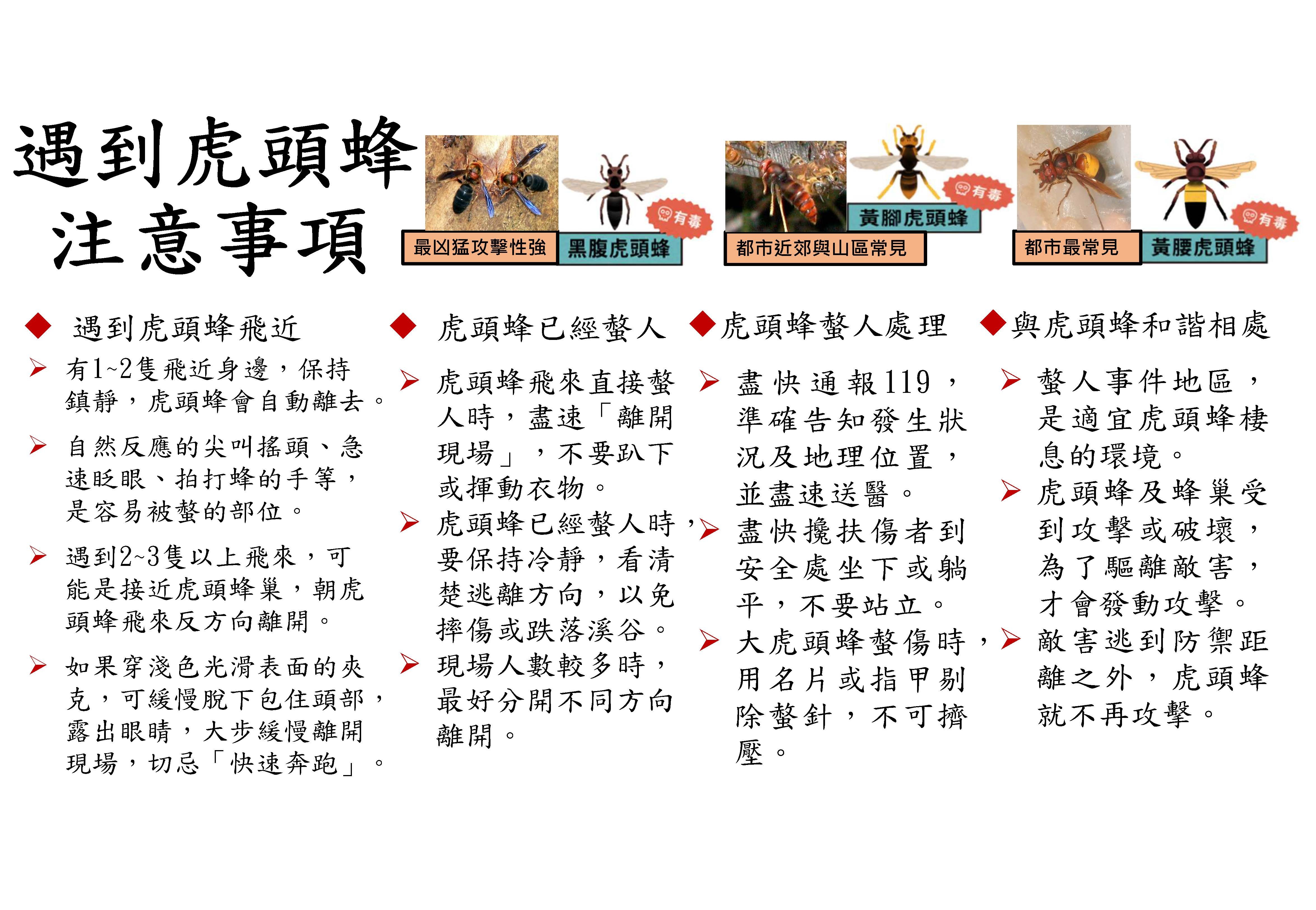 虎頭蜂宣導2