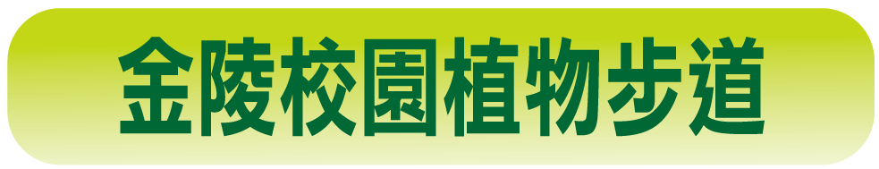 植物BANNER